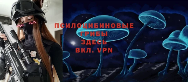 гидропоника Алзамай