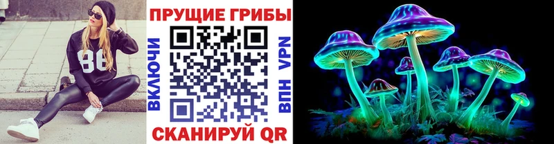 Галлюциногенные грибы MAGIC MUSHROOMS  хочу наркоту  Шелехов 